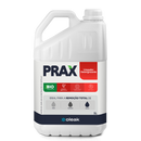 DESENGRAXANTE PRAX LIMPEZA PESADA 5 LTS