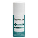 HAROMA AMBIENT SPRAY WIND 100 ML